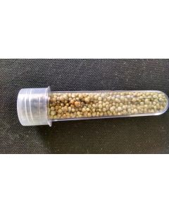 Osmocote Plus 15-09-12 + Micro-Nutrientes (40 gramas) 1