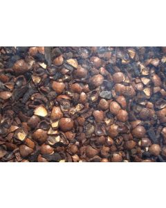 Substrato - Casca de Macadâmia + Carvão Vegetal + Musgo - 5 litros (+/- 3 Kg) 1